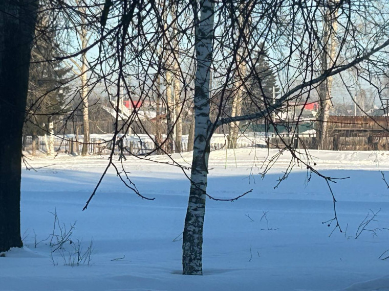 Зимние радости в школе!.