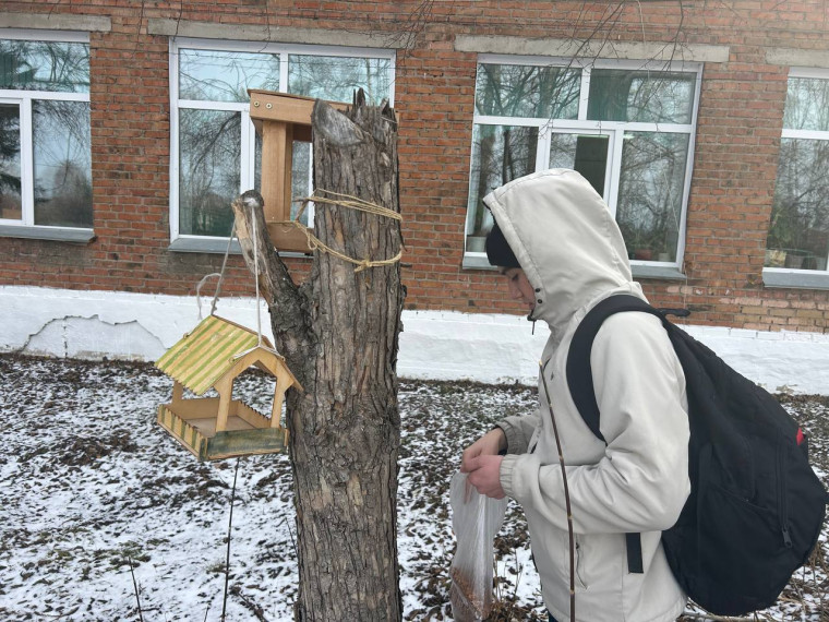 Юннаты Первых продолжают заботиться о птицах.
