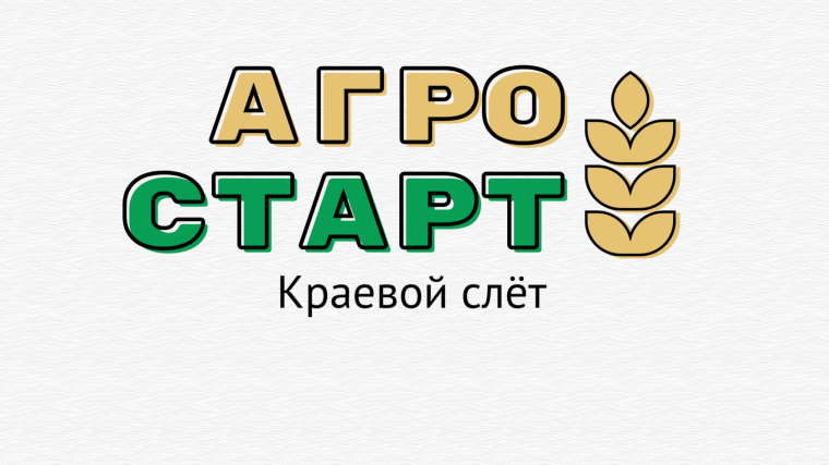 краевой слёт «АгроСтарт».